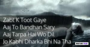 True Love Shayari in English